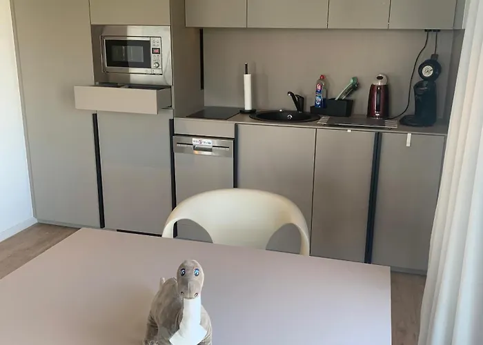 Διαμέρισμα 279 Expositon Center Galluswarte Main Train Station